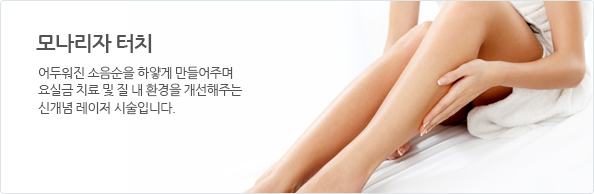 모나리자터치